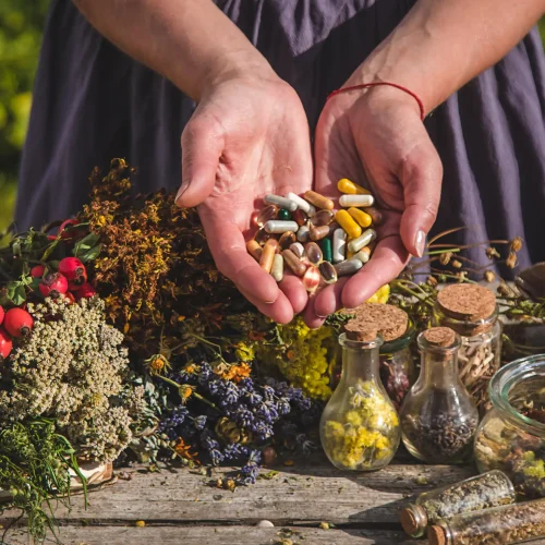 in-the-hands-of-herbs-and-supplements-selective in-the-hands-of-herbs-and-supplements-selective